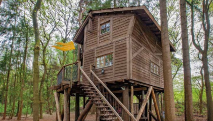 Bij onze houthandel tuinhout in Meppel kunt u terecht voor allerlei soorten hout voor uw tuin.